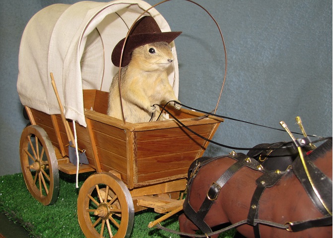 Things to do with kids at Toronto: Gopher Hole Museum