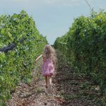 Discovering the Wineries of Ontario, Part 2: Prince Edward County