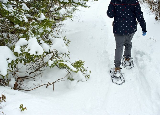 En raquette près d’un arbre, guide touristique sport d’hiver, Nouvelle-Écosse