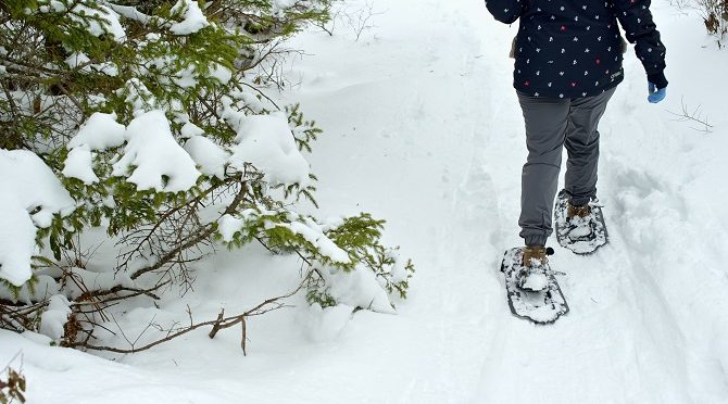 Snowshoeing by a tree, Nova Scotia Vacation, kids activities, winter season