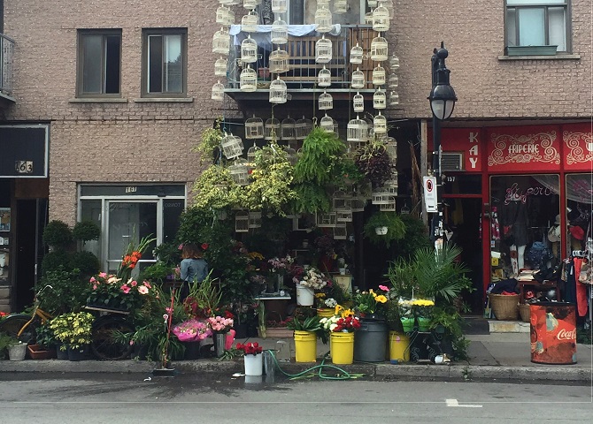 Dragon flowers, mile end, flower shop with birdcages, Montreal attractions, Fun things to do in Montreal, Plateau mont royal