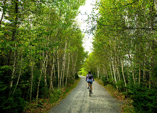 Le sentier Beechville Lakeside Timberlea à Halifax (© Discover Halifax)