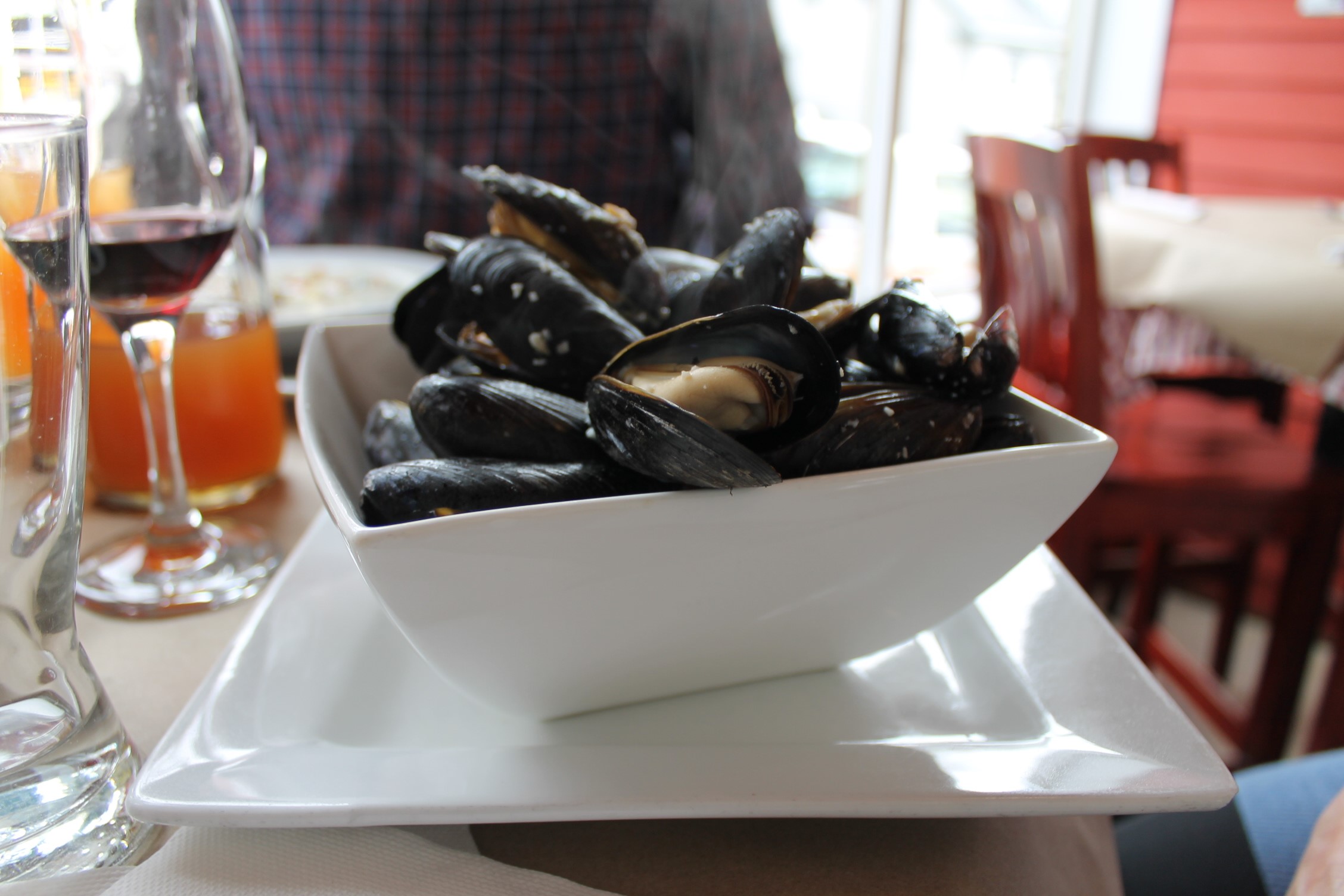 You should also try the mussels at Salt Shaker Deli in Lunenburg! 