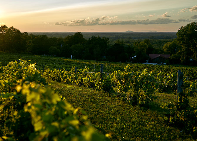 Siroter des vins de différentes régions des Cantons-de-l'Est (© Pétéphotographie)