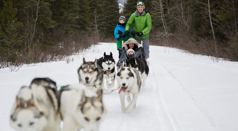 Dog Sledding Holidays in Canada