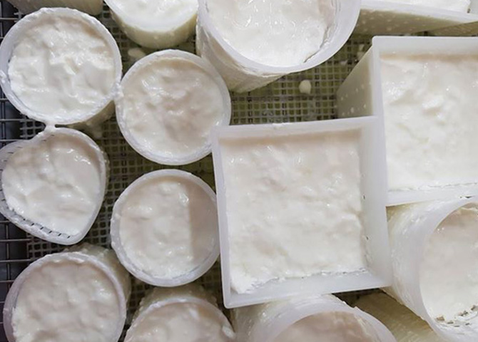 Cheesemaking with the Curd Girl is a fun way to spend a day on a farm outside of Halifax. 