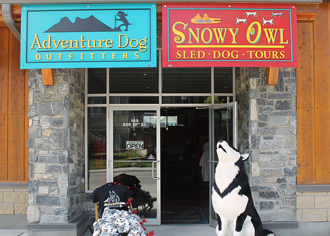 At Snowy Owl Sled Dog Tours, the dogs are cared for ethically and responsibly.
